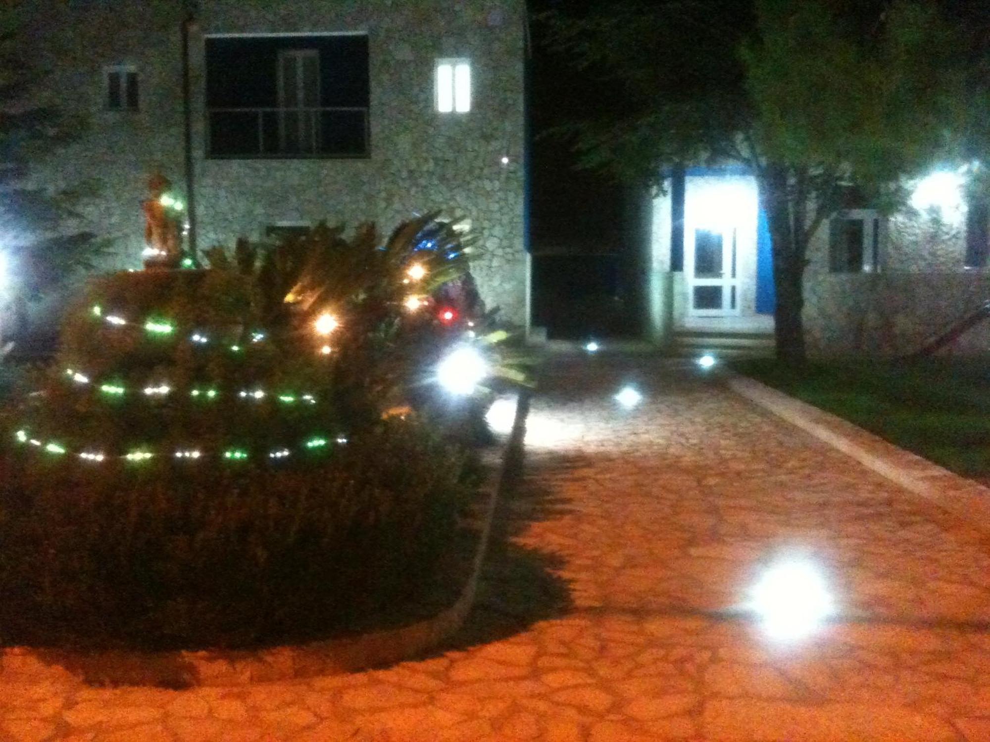 Bed And Breakfast Fly Bari Exterior photo